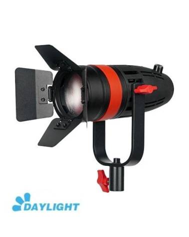 CAME-TV Boltzen 55w Fresnel Focusable LED Daylight With Bag