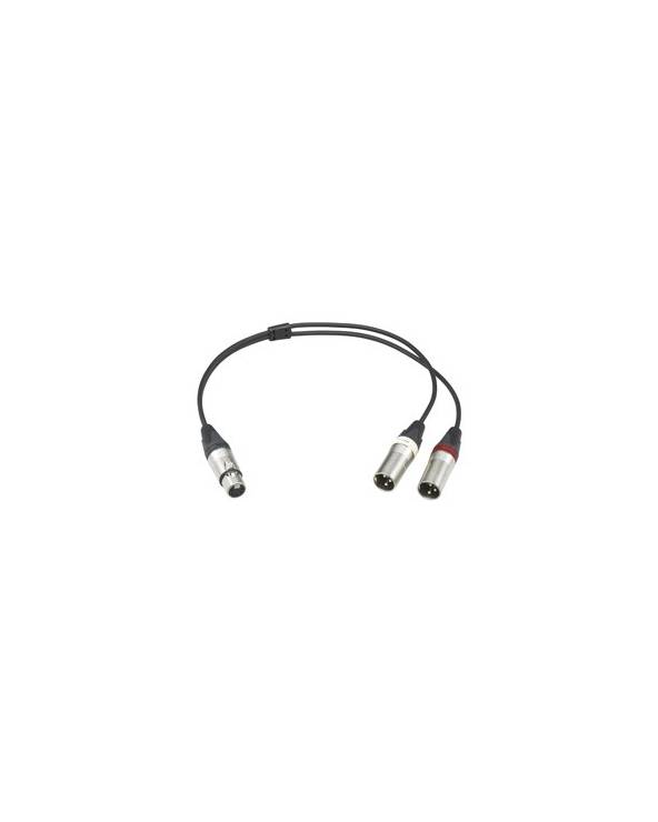 Sony - EC-0.5X5F3M - MICROPHONE CABLE 5-POL XLR FEMALE TO 2X 3-POL XLR MALE from SONY with reference EC-0.5X5F3M at the low pric