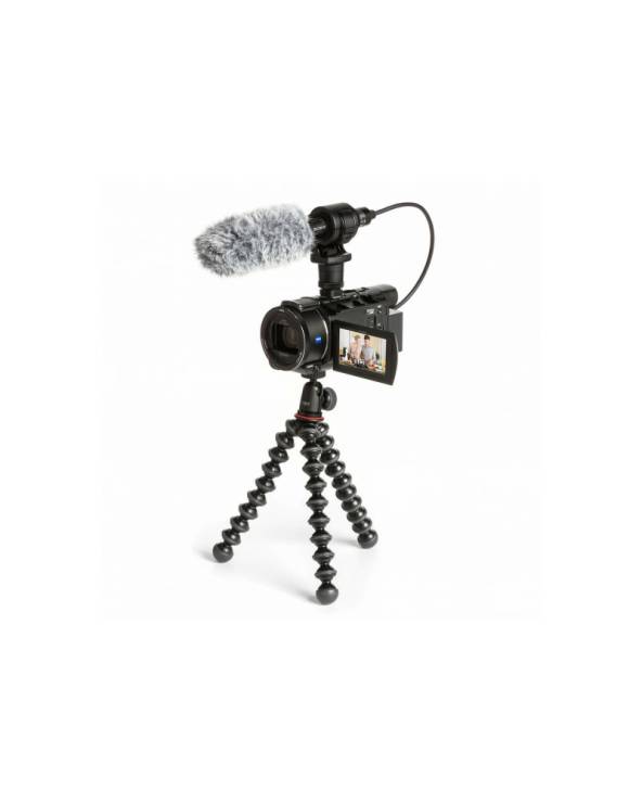 SONY FDR-AX53 4K Camera Hard bundle