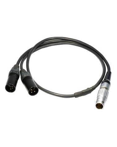 Arri SRH High Capacity Battery Power Cable, 12V/24V, 0.5m/1.64ft from ARRI with reference K2.0019306 at the low price of 370. Pr