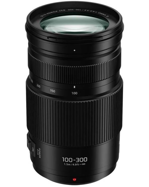 Panasonic Lumix G Vario 100-300 mm/F 4.0-5.6 Lens
