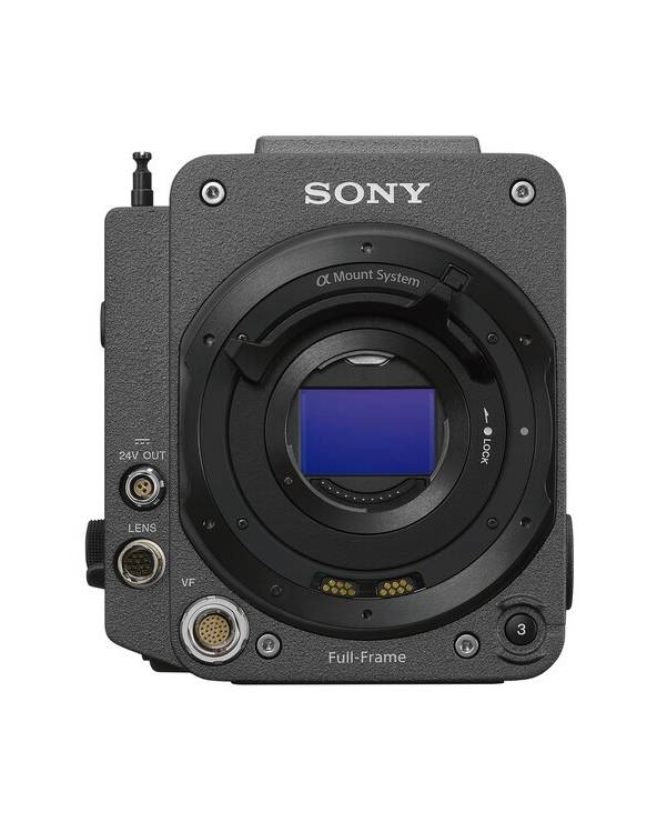 SONY VENICE 2 Bundle with 6K camera, DVF-EL200 and licenses