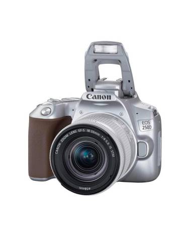 EOS 250D Silver 24.1MP APC-S Sensor with 18-55mm IS Lens and 4K Video Capture