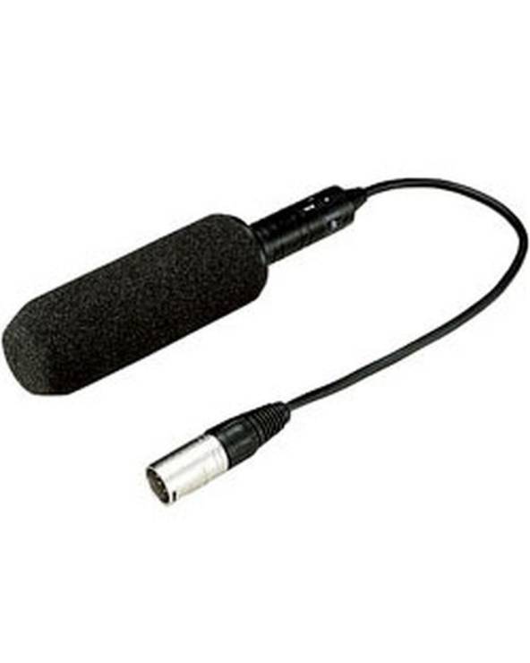 Panasonic Stereo Microphone