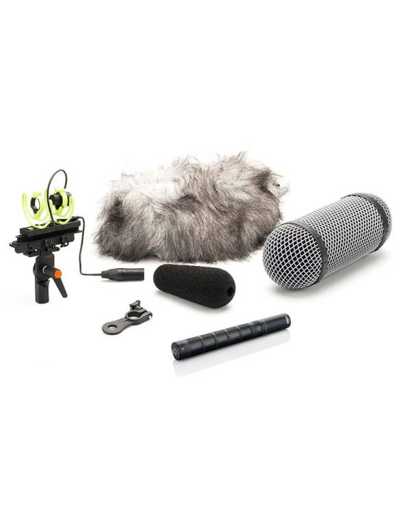 4017C-R - SHOTGUN MICROPHONE WITH RYCOTE WINDSHIELD from DPA MICROPHONES with reference 4017C-R at the low price of 1395. Produc