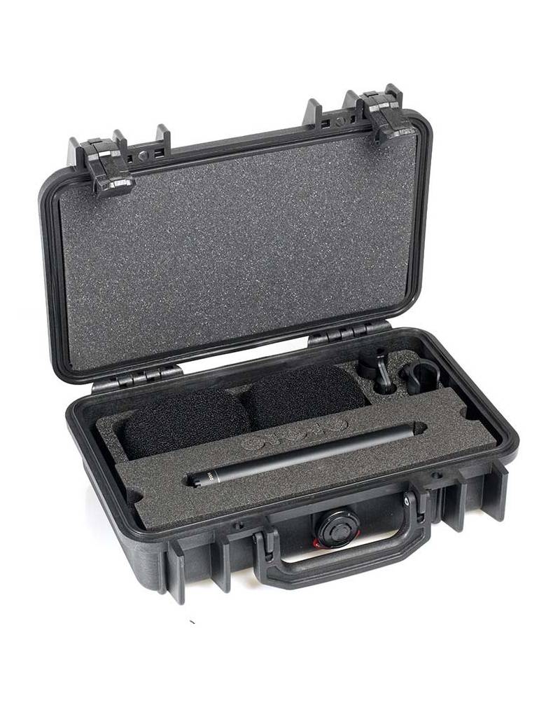 ST2006A - STEREO PAIR W. 2 X 2006A, CLIPS, WINDSCREENS IN PELI CASE from DPA MICROPHONES with reference ST2006A at the low price