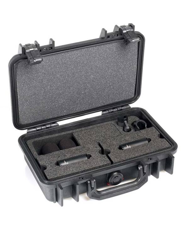 ST2006C - STEREO PAIR W. 2 X 2006C, CLIPS, WINDSCREENS IN PELI CASE from DPA MICROPHONES with reference ST2006C at the low price