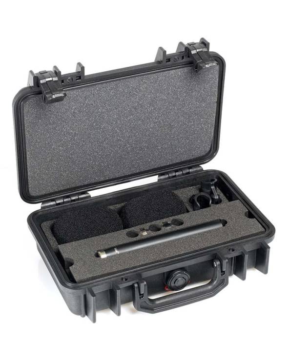 ST4006A - STEREO PAIR W. 2 X 4006A, CLIPS, WINDSCREENS IN PELI CASE from DPA MICROPHONES with reference ST4006A at the low price
