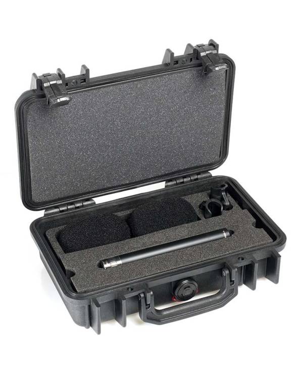 ST4011A - STEREO PAIR W. 2 X 4011A, CLIPS, WINDSCREENS IN PELI CASE from DPA MICROPHONES with reference ST4011A at the low price