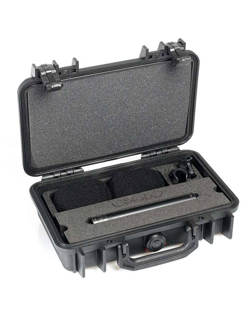 DPA Microphones Stereo Pair W. 2 X 4015a, Clips, Windscreens in